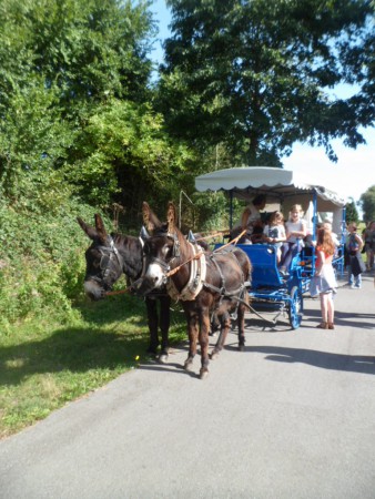 voyage en "carrosse"